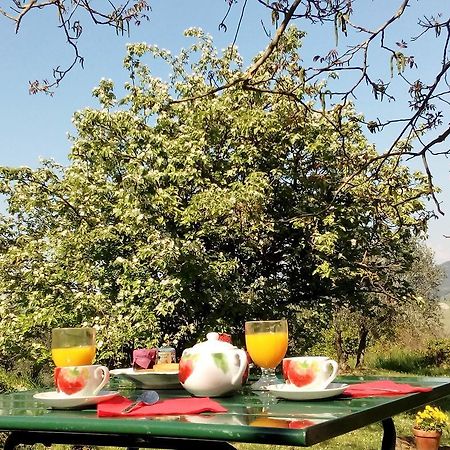 Villa Il Palazzino Volterra Dış mekan fotoğraf