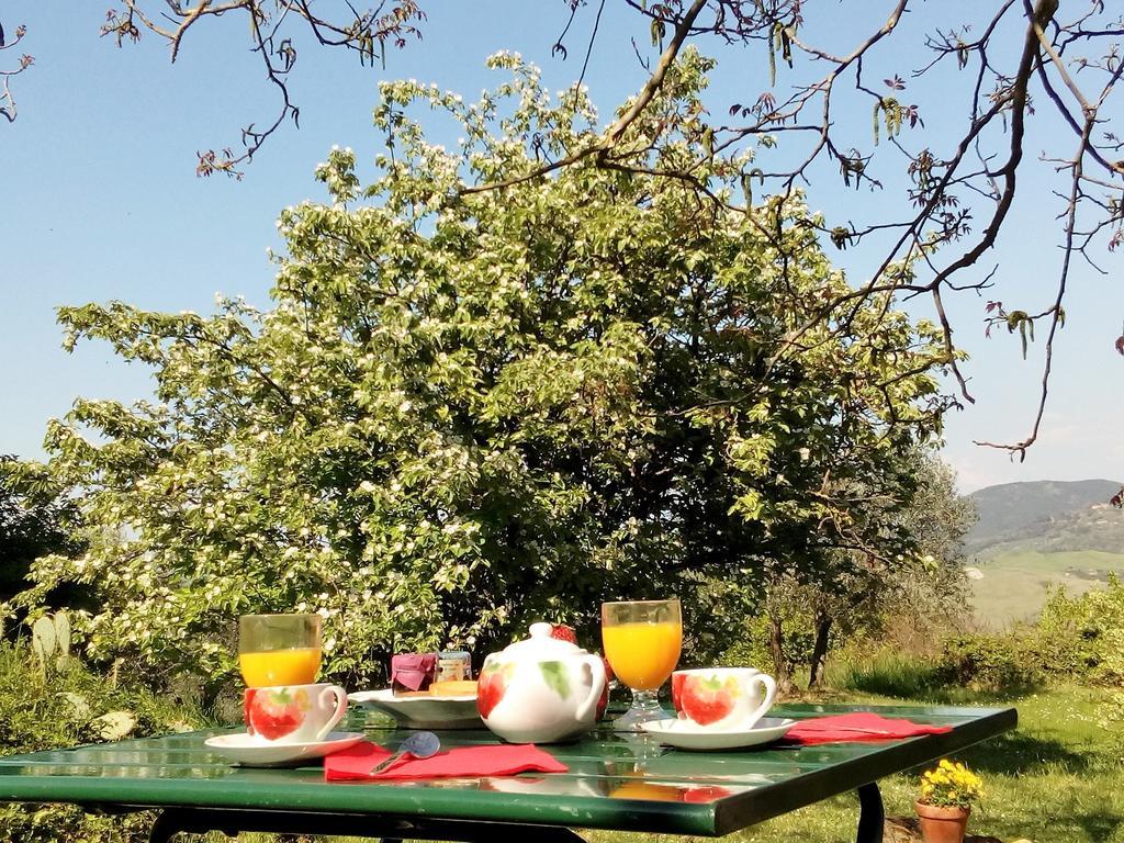 Villa Il Palazzino Volterra Dış mekan fotoğraf