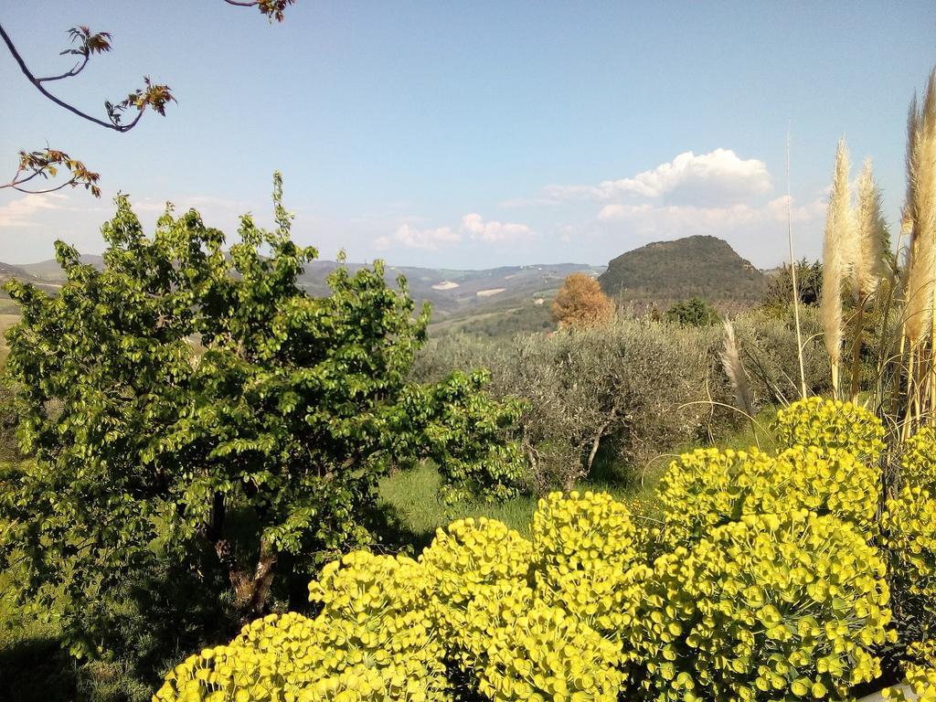 Villa Il Palazzino Volterra Dış mekan fotoğraf